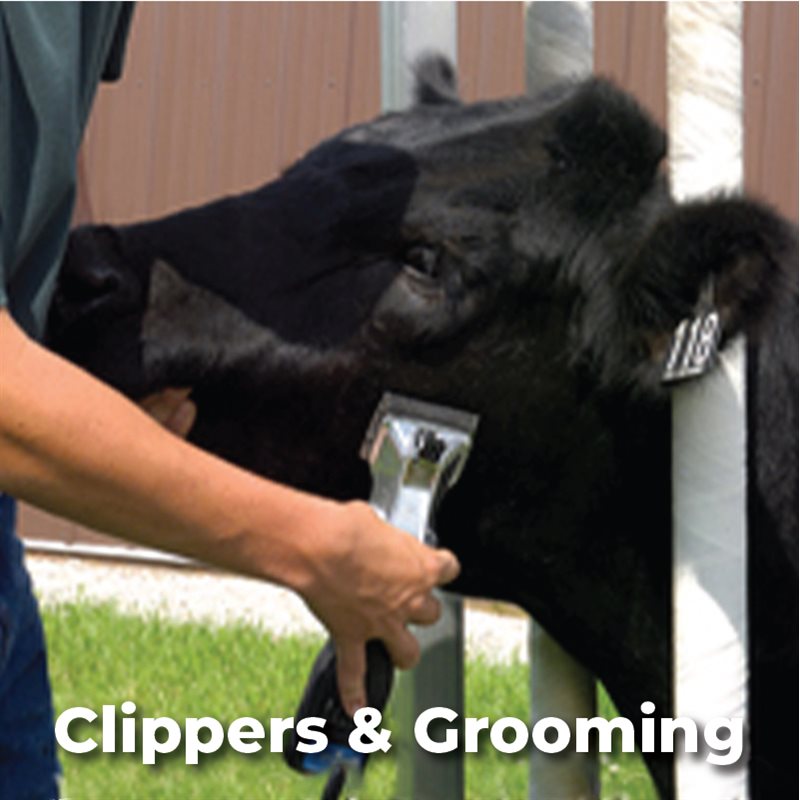 Clippers & Grooming