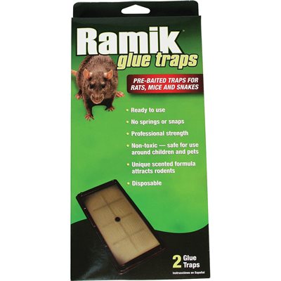 RAMIK GLUE TRAP 2/PK