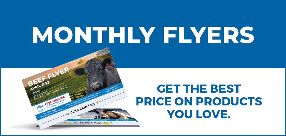 Monthly flyers | Get the best price on the products you love